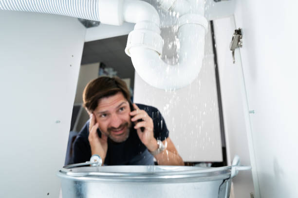 Best Affordable Plumber Near Me  in Cedville, AR
