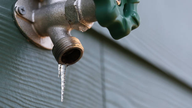 Best Same-Day Plumbing Service  in Cedville, AR
